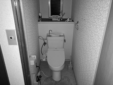 6397230.jpg