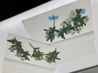 20260212 投稿１『写真④』.jpg