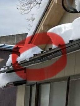 20260328 写真②.jpg