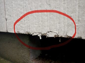 20260328 写真③.jpg