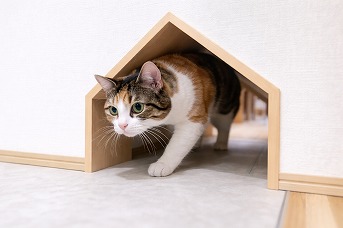 3月5週目ブログ②写真⑥.jpg