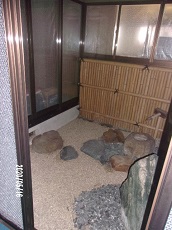 中庭 (3).jpg