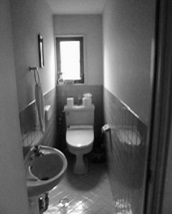 303-b2.jpg