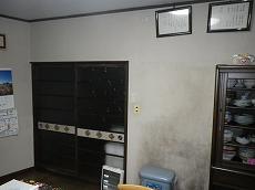 333b-3.jpg