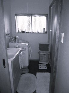 395-2before.jpg
