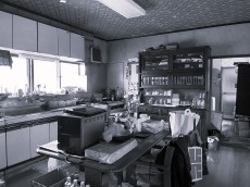 540-2before1.jpg