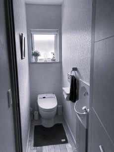 566_before4.jpg