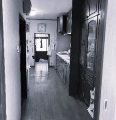 577ビフォー15.jpg