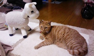 お施主様の写真